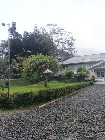 The image displays an outdoor scene at Tapaiteng Uesa, Bhutan, under an overcast light gray sky. A dark gray gravel driveway occupies the lower right and foreground, bordered on its left by a narrow concrete strip. Adjacent to this border, a neatly trimmed dark green hedge runs along a gently rising grassy lawn. On the lawn, a bush with numerous pink blossoms is prominent, positioned near a rustic wooden structure featuring a small, light-colored, multi-paneled roof. To the far left, a tall dark metal pole supports two rectangular LED floodlights. In the midground, a light-toned building with a dark, corrugated metal roof and multiple white-framed windows extends across the scene. A covered entrance with white railings is visible on the building's right side, adjacent to which a dark, tall statue stands. Dense green trees form a backdrop, with faint outlines of mountainous terrain discernible through the atmospheric haze in the upper right background. No individuals or active interactions are depicted.