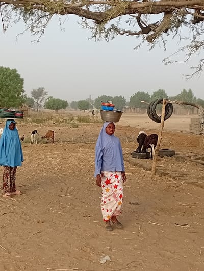Two women are positioned in a rural setting. One carries a stack of bowls on her head, dressed in a blue shirt and star-patterned skirt. The other woman is clad in a blue robe and patterned skirt. A tree with sparse foliage is visible on the left. In the background, a structure with tires is present, along with cattle grazing in the field. The ground is dry and barren.