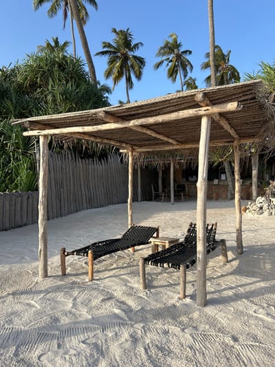This image captures a serene tropical beach scene in Kiwengwa, Tanzania, under a bright, clear blue sky. The foreground and midground are dominated by a rustic, open-sided shelter featuring a thick, woven thatched roof supported by robust wooden logs and beams. This structure offers shade, likely for relaxation.
Underneath and in front of the shelter, two lounge chairs or daybeds are positioned on the sandy ground. These chairs are crafted with dark, possibly black, woven material for the seating and backrest, mounted on simple, natural wooden frames and legs. Strong shadows cast by the chairs and the shelter’s posts indicate bright sunlight.
The light-colored sand shows various imprints, including distinct footprints and what appear to be tire or drag marks, suggesting recent activity in the area. In the background and to the left, several tall palm trees with their characteristic fronds stand against the clear sky, interspersed with other lush, green tropical foliage. A building with a natural, rustic design, possibly part of a resort or beachside establishment, is partially visible behind the shelter in the mid-distance.
The scene is bathed in bright daylight, likely mid-morning or early afternoon, contributing to a warm and inviting atmosphere. No people are visible, and there is no discernible text within the image. The overall impression is one of tranquil, tropical leisure.