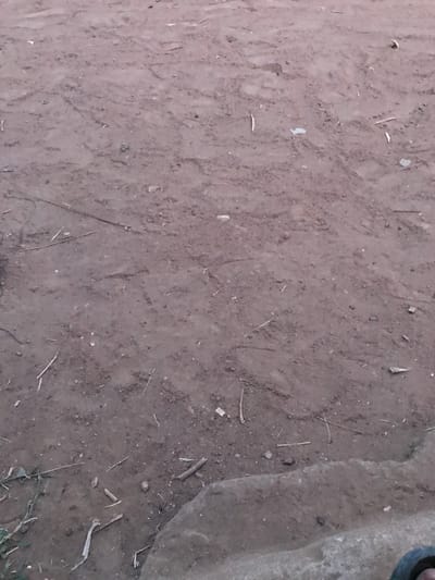 A ground-level view reveals a dirt surface scattered with small pebbles, twigs, and plant debris. The soil appears dry and compacted, exhibiting subtle variations in tone. A portion of a gray stone or concrete structure occupies the upper right corner of the frame, partially obscuring the earth beneath. Some scattered blades of grass occupy the bottom right corner. The composition is dominated by earthy hues, creating a muted and natural aesthetic.