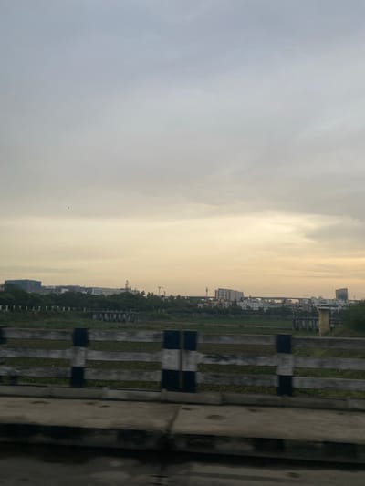 The image captures a view of the city of Chennai, India, likely from a bridge or elevated vantage point. The sky is overcast with a soft, diffused light, suggesting either early morning or late afternoon. In the foreground, a weathered concrete barrier with horizontal wooden planks, painted with alternating black and white stripes, acts as a railing. Beyond this railing, a lush green area, possibly a field or embankment, is visible, with remnants of old, possibly abandoned, structures or bridge supports rising from it.
Further in the distance, the Chennai skyline is discernible. It features a collection of buildings, ranging from low-rise structures with white facades to taller, more modern buildings, including what appears to be a prominent high-rise on the right. Trees and vegetation dot the landscape between the foreground and the buildings. A faint silhouette of a bird can be seen in the upper left quadrant of the sky. The overall impression is one of a developing urban environment coexisting with natural elements, under a muted, atmospheric sky.