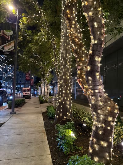 A nighttime street scene features trees wrapped in strings of lights lining a sidewalk. The trees' bark is visible beneath the lights. Buildings and other trees are seen in the distance. The sidewalk is a light grey color, and there's a street light pole on the left side of the image. There is a sushi advert on the lower left side. There are plants in the foreground.