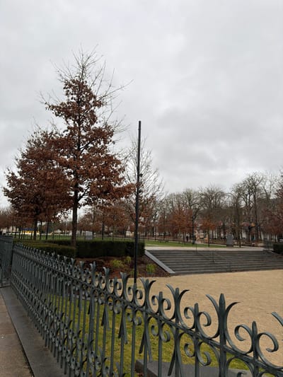 The image depicts an overcast winter day scene at the Jardin de la Patte d'Oie in Reims, France. In the foreground, a dark gray wrought-iron fence with ornate scrollwork tops extends diagonally from the lower left to the right, separating the viewer's perspective from the park. Immediately behind the fence is a narrow strip of green grass, followed by a light brown gravel pathway.
To the left, a prominent deciduous tree with reddish-brown leaves, characteristic of late autumn or early winter, stands tall, its upper branches mostly bare. Adjacent to this tree, a slender, dark utility pole rises vertically. Further into the midground, a wide set of dark gray concrete steps with handrails ascends to an upper level of the park from the gravel area.
The background reveals an expansive park landscape populated by numerous deciduous trees, primarily bare or holding sparse brown foliage. Green hedges define sections of the park, and several unoccupied park benches are visible. Two indistinct human figures are observed walking on the upper park level towards the center-right. The sky is uniformly light gray and overcast, diffusing the natural light.