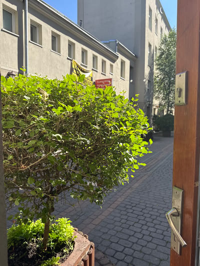 The image depicts an outdoor scene in the city of Łódź, Poland, as indicated by the presence of a yellow banner with Polish text visible on the building in the background. In the foreground, a wooden doorframe with a silver door handle and lock mechanism is partially open, revealing a cobblestone pathway. To the left of the path, a lush green bush in a planter box is illuminated by sunlight. Beyond the bush, a multi-story building with a light-colored facade and several windows is visible. Further in the background, another taller building and a leafy tree can be seen. The scene appears to be a quiet courtyard or alleyway, bathed in the warm light of a sunny day.