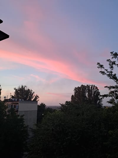The image depicts a sunset scene in Kamianske, Ukraine. The sky is painted with hues of pink and purple, with wispy clouds streaking across the expanse. Silhouetted against the colorful sky are the dark green foliage of trees and the angular rooftops of buildings, one of which is a multi-story structure with satellite dishes on its roof. The image has been rotated 90 degrees clockwise, making the sky appear on the left and the landscape on the right. The overall impression is one of tranquility and the calm beauty of dusk. The time of day is clearly sunset, indicated by the colors in the sky. There are no people visible in the image. There is no visible text.