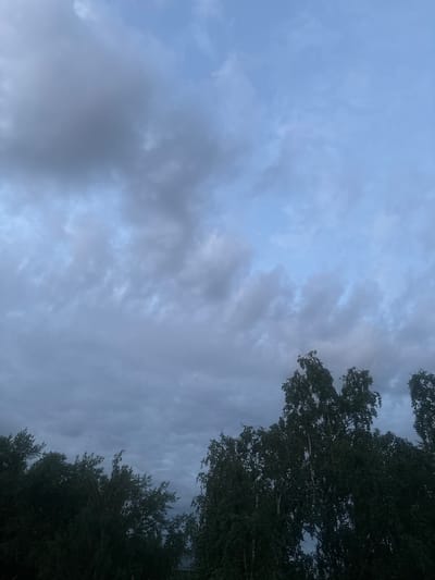 The image is a low-angle shot of a cloudy sky with the tops of trees in the foreground. The sky is a muted blue-gray, with some darker, thicker clouds interspersed with lighter, wispy ones. The clouds suggest an overcast or possibly approaching rain. The trees, primarily deciduous with dark green foliage, are silhouetted against the sky. Their branches reach into the frame from the right side and the top right corner, suggesting a forest or park setting. The lighting is dim, indicating it might be late afternoon or early evening, or simply a heavily overcast day. No people, objects, or text are visible in the image. The overall mood is calm and slightly somber due to the cloudy weather. The location context provided is Kirov, Russia, which implies a temperate climate where such overcast skies and deciduous trees are common.