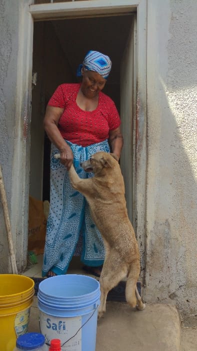 The scene is set outside a doorway in the city of Moshi, Tanzania. An adult female, dressed in a red polka-dotted short-sleeved top, a blue and white patterned long skirt, and a matching headwrap, stands within the doorframe. Her right hand grasps the raised left forepaw of a medium-sized, light-brown dog, which stands on its hind legs facing her. The woman exhibits an upward curve of the lips. Her left hand holds a white implement. The dog's head is turned towards the woman. To the left foreground, a yellow bucket and a light blue bucket marked "Safi" are visible. A light-colored pole leans against the textured exterior wall on the far left. The interior visible through the doorway is dark. The ground surface outside the doorway is light-colored, consistent with concrete or packed earth.