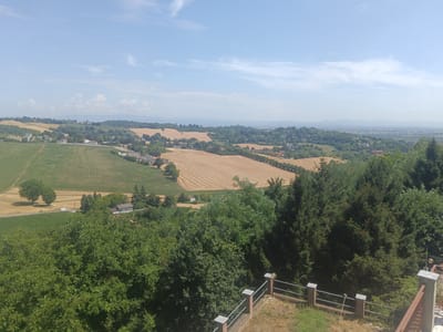 The image captures a panoramic view of a rural landscape under a bright, partly cloudy sky. The foreground is dominated by dense green trees, with a railing and a small patio area on the right. Beyond this, the landscape unfolds into rolling hills covered in a patchwork of agricultural fields, some of which appear to be recently harvested stubble, while others are green crops. Several scattered houses and buildings are visible amongst the trees and fields, suggesting a sparsely populated rural area. In the distance, a hazy mountain range forms the horizon, with a faint impression of urban development on the right side of the distant landscape. The scene is bathed in sunlight, indicating it was taken during the daytime. The location appears to be in the countryside surrounding Alessandria, Italy, characterized by its typical Italian agricultural topography.