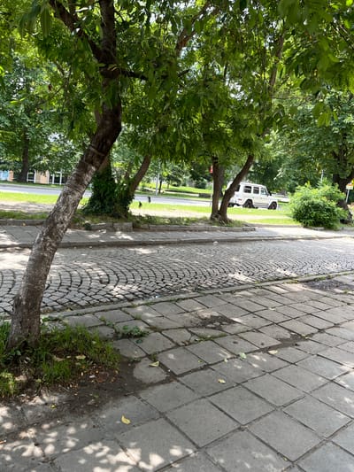 This image captures a sunlit urban street scene in Karlovo, Bulgaria, characterized by mature trees and varied ground surfaces. In the immediate foreground, a sidewalk composed of square, light-grey concrete slabs shows signs of wear, dirt accumulation, and scattered organic debris including leaves and a cigarette butt. Dappled shadows from overhead foliage pattern this surface.
On the left, a thick tree trunk with rough, light-colored bark leans slightly, originating from a patch of grass and exposed soil. A concrete curb separates the sidewalk from a section of cobblestone pavement in the midground. These grey, irregular cobblestones are laid in a distinct fan-shaped or arc pattern. Further back, another tree trunk is partially visible behind the foreground tree, amidst dense green leaves that form a canopy over the scene.
Beyond the cobblestone area, a paved road runs horizontally across the frame. A white Mercedes-Benz G-Wagen, featuring black wheels with red accents, is visible on the right side of this road, appearing stationary or moving slowly. A grassy verge and a dense green bush are situated between the road and additional trees that line the background. In the far distance on the left, partially obscured by trees, sections of light-colored buildings with prominent white window frames are discernible. The overall lighting indicates a clear, sunny day. No individuals are present in the frame.
