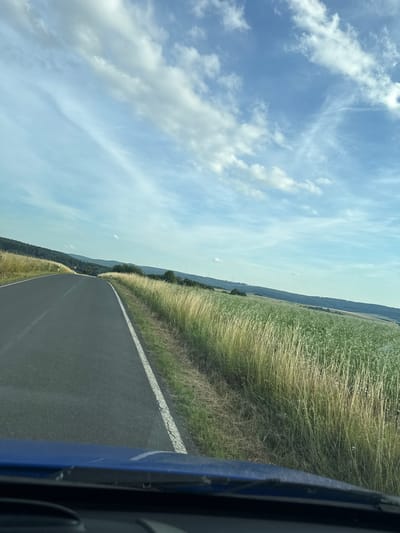 The image depicts a view from inside a vehicle driving on a rural road in Niederwetz, Germany. The road curves to the left, with a white line marking the edge. To the right of the road, a field of green crops is bordered by tall, dry grass. In the background, rolling hills covered with trees and vegetation extend towards the horizon. The sky is a pale blue, dotted with white, wispy clouds. A few distant wind turbines are visible on the hills. The foreground shows the blue dashboard and windshield wipers of the vehicle.