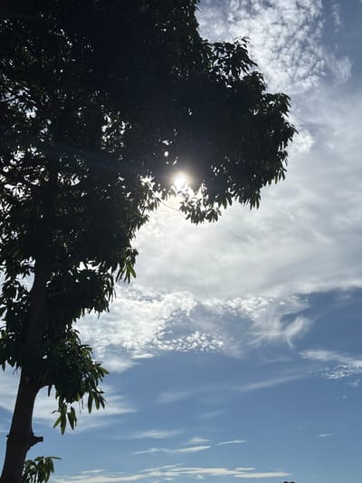A silhouette of a tree with dark green leaves frames the left side of the image. The sun is peeking through the leaves in the upper center of the frame, creating a lens flare effect. The sky is a gradient of blue, with scattered white clouds. The bottom right corner of the image shows the tops of a few people's heads, suggesting they are outdoors. The scene appears to be set in a natural environment, possibly a park or a garden, in บ้านบางรักษ์, Thailand.