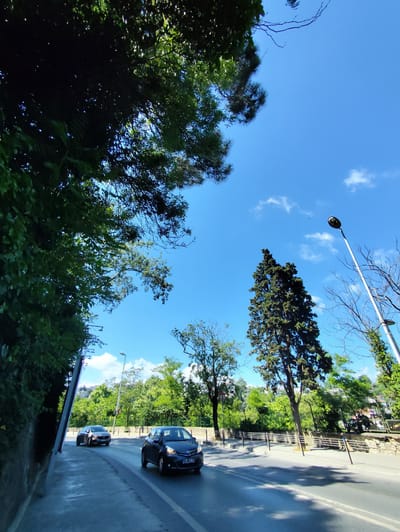 The image captures a view looking upwards from a street in Sarıyer, Turkey, on a clear, sunny day. The foreground shows a road with two cars, a dark blue hatchback in the right lane and a lighter colored sedan in the left lane, both moving away from the viewer. Lush green trees with dense foliage line the left side of the road, partially obscuring the sky. To the right, a tall, slender cypress tree stands prominently. Beyond the road, a park-like area with more trees and vegetation is visible, with a stone wall and metal railings separating it from the street. A street lamp with a single light fixture is positioned on a tall pole to the right of the cypress tree, with another smaller fixture lower down. The sky is a vibrant blue with scattered white clouds. The overall scene depicts a serene urban environment with abundant greenery.