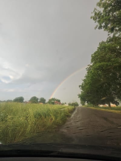 The image depicts a view from inside a vehicle, likely a car, in what appears to be a rural area in Bogdanovo, Bulgaria. The scene is dominated by a rainbow arching across a cloudy sky. A wet, dirt road stretches ahead, flanked by a field of tall grass on the left and trees on the right. Some buildings, possibly houses, are visible in the distance. Raindrops are present on the windshield, indicating recent or ongoing precipitation. There are no people visible in the scene.