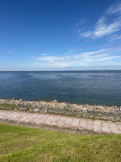 The image depicts a waterfront scene at Peterhof, Russia, on a clear day with a vibrant blue sky dotted with scattered white clouds. The foreground is dominated by a gently sloping grassy area, transitioning to a paved pathway composed of rectangular concrete slabs with a reddish hue. Adjacent to the pathway is a rocky embankment leading to the water's edge. The water itself is a deep blue, with small ripples indicating a calm surface. In the distance, the horizon is marked by a faint landmass and several ships, including a large container ship. The overall impression is one of a serene outdoor public space, likely a park or promenade.