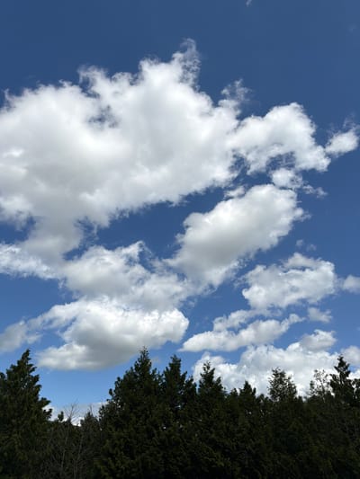The image depicts a daytime sky with scattered white clouds against a blue background. The upper right corner of the image is partially obscured by the dark green foliage of trees. The scene appears to be a natural setting with no indication of urban structures or human activity to suggest the location in Esch-sur-Alzette, Luxembourg, specifically. No people, actions, or interactions are visible in the image.