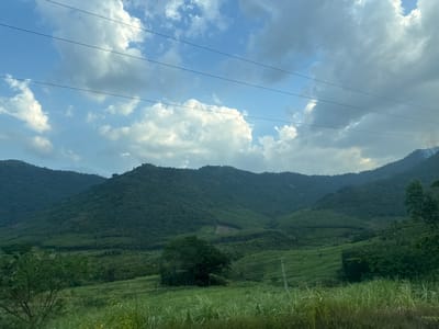 This image captures a scenic view of rolling green hills and lush vegetation under a partly cloudy sky. In the foreground, tall grasses and reeds create a textured border, with a few trees dotting the landscape. Several power lines stretch horizontally across the frame, intersecting the view of the distant mountains. The mountains themselves are covered in dense green foliage, with some areas showing signs of cultivation or deforestation. The sky is a mix of blue and white clouds, with hints of sunlight breaking through. There are no people or specific landmarks visible that would definitively place this image in Aê Thi, Vietnam, however, the topography and vegetation are consistent with rural areas in Vietnam.