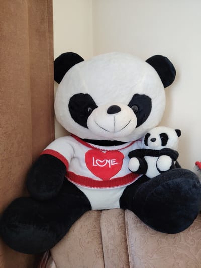 Two plush panda toys are sitting on a textured, beige sofa in Gyumri, Armenia. A large panda, wearing a white sweater with red trim and a red heart with the word "LOVE" embroidered on it, is in the center of the image. A smaller panda is nestled in the large panda's arms. The pandas are positioned in front of a light-colored wall, with a brown curtain on the left side of the frame. The lighting appears to be natural daylight.