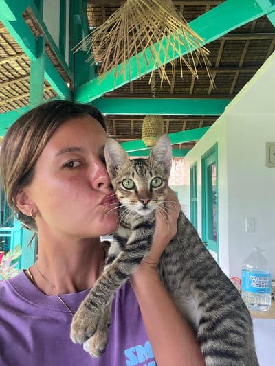 The image shows a person holding a tabby cat in a selfie-style shot. The person is in the foreground, with their face close to the cat's. The cat is looking directly at the camera with wide green eyes, its head tilted towards the person. The person's mouth is pursed as if to kiss the cat, and the cat's paws are resting on the person's shoulder and chest.
The setting appears to be outdoors, possibly on a porch or balcony, with a thatched roof and vibrant green painted wooden beams visible in the background. There are also glimpses of tropical foliage and a large bottle of "NATURE'S SPRING PURIFIED" water on a shelf. The overall lighting suggests it is daytime. The mood seems playful and affectionate, with the interaction between the person and the cat being the central focus. The image is shot in portrait orientation and is slightly angled.