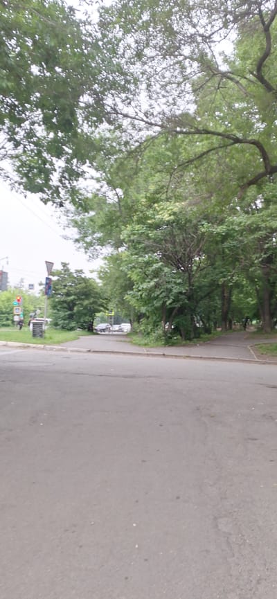 The image shows a street scene in Nakhodka, Russia. In the foreground is a paved road. To the left, a traffic light is visible, showing a red light. Further down the street, a pedestrian crossing is marked. Trees with green foliage line the right side of the street and partially obscure the view of buildings. Several cars are parked or driving on the road in the middle ground. The sky is overcast.