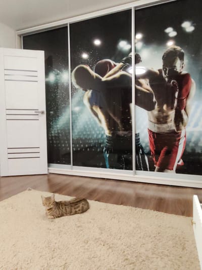 In an indoor setting, a Bengal cat is lying on a fluffy beige rug. Behind the cat, a sliding wardrobe with a large mural depicting two boxers in the ring is visible. To the left of the wardrobe is a white door with three horizontal gray stripes. The floor is made of polished wood. There are no visible people in the image. The location is identified as Dzerzhinsk, Russia.