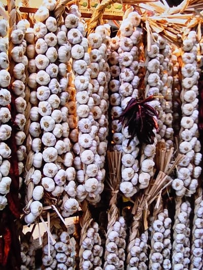 The image shows numerous braids of garlic hanging vertically. The garlic bulbs are predominantly white and are strung together in long, rope-like bundles. Some of the braids are thicker than others, indicating varying numbers of garlic bulbs. There are also bundles of dried chili peppers, which are dark red and have a wrinkled appearance, hanging in the foreground and mixed with the garlic. The background is somewhat blurred but appears to be an outdoor market or stall setting, with elements of straw or dried stalks visible, suggesting a rustic or agricultural display. The lighting suggests it is daytime. The scene is located in Voluntari, Romania.