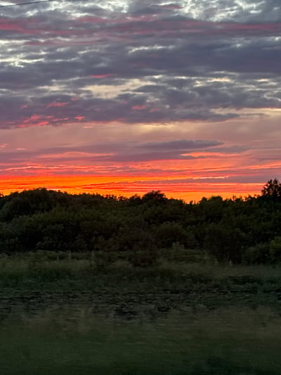 This media file captures a vertical, landscape-oriented image of a sunset over a field in Im. Tattsika, Russia. The scene is dominated by a dramatic sky filled with streaks of vibrant orange, pink, and purple clouds. These colorful clouds are juxtaposed with darker, gray clouds, creating a dynamic and textured sky.

Along the right side of the image, a dense line of dark green trees forms a silhouette against the fiery sunset, marking the edge of a field. The field itself appears to be covered in grass, with areas of darker and lighter green, suggesting a natural, uncultivated space. The overall impression is one of a serene and picturesque natural setting.

The time of day is clearly sunset, indicated by the intense colors in the sky. The weather appears to be fair, with the clouds contributing to the dramatic beauty of the sunset rather than suggesting inclement conditions. There are no visible people or man-made objects, except for what appears to be a thin wire or string running vertically along the left edge of the frame, possibly a power line or fence wire. No text is visible in the image. The emotion conveyed is one of awe and natural beauty, typical of a stunning sunset.