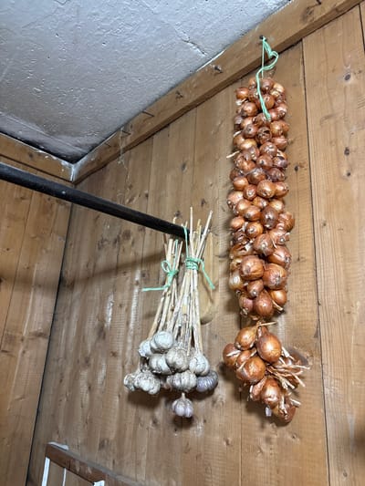 In the interior of a wooden room, likely a pantry or shed in the city of Ilpanur, Russia, two bunches of produce are hanging from a metal rod attached to the wall. On the right, a long string of shallots hangs vertically, approximately 3 feet in length. The shallots are small, round, and reddish-brown, bound together by green twine. Below this string, a smaller bunch of shallots is also suspended. To the left, a bunch of garlic bulbs, appearing dry and papery, is tied with green twine and hangs slightly lower than the shallots. The walls are constructed of vertical wooden planks, and the ceiling is a textured, off-white surface. A dark metal rod runs horizontally across the upper portion of the image, serving as a support for the hanging produce. The lighting is dim, casting shadows on the wooden surfaces.