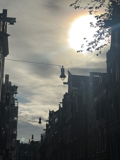 This image depicts a view looking up towards the sky, with buildings and a tree silhouetted against a bright, hazy sun. The sun, positioned on the left, is surrounded by a halo effect, suggesting it's either early morning or late afternoon, or that there's a significant amount of haze or clouds in the atmosphere. Wispy, thin clouds stretch across the sky, creating a soft, diffused light.
On the left side of the frame, the branches and leaves of a tree are visible, also in silhouette. Attached to a wire running across the frame are two vintage-style street lamps, one in the middle ground and another further in the background, both appearing to be unlit.
The buildings on the right side of the image are dark and appear to be old, with multiple windows visible. The architecture suggests an urban environment. The overall impression is one of a quiet, possibly European city street, bathed in the soft, diffused light of the sun filtering through atmospheric conditions. No people are visible in the frame. The image is oriented with the top of the frame pointing downwards, creating an unusual perspective. No text is discernible in the image.
