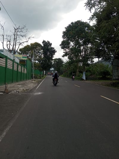 The image displays a two-lane asphalt road in Tagtse Tashidingkha, Bhutan, under an overcast sky. A person on a dark motorcycle, wearing a dark jacket and a light-colored helmet, travels away from the viewer in the left lane. Further ahead in the same lane, another person on a dark motorcycle, wearing a dark jacket and a dark helmet, is also moving away. In the distant background, a red vehicle is visible on the road.
The road features a solid white line delineating the left shoulder and dashed yellow lines separating the lanes. On the left side of the road, an orange traffic cone rests on the paved shoulder near the foreground. A green wall with rectangular openings runs along the left, partially obscuring a building with signs, one of which displays "Indom." A prominent bare tree with numerous branches stands on the left, followed by other trees and a utility pole. The right side of the road is densely vegetated with green trees and foliage, and a blue and white tarp or banner is visible among the trees. Distant hills or mountains are discernible beneath the cloudy sky.