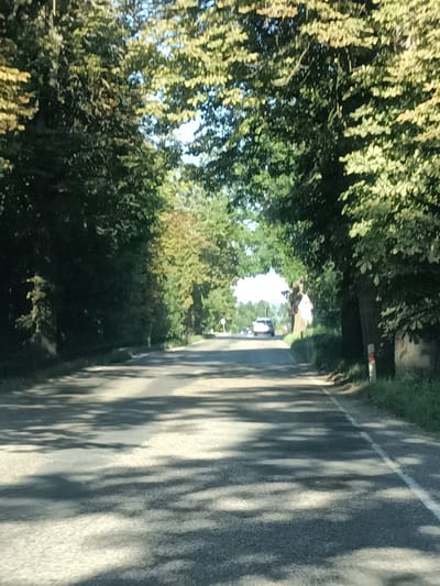 The image shows a paved road in a rural setting, likely Šternov, Czechia. The road is flanked by dense trees, creating a canopy effect that casts dappled shadows across the asphalt. The foliage is predominantly green, with some hints of yellow and brown, suggesting it might be late summer or early autumn. Sunlight filters through the leaves, illuminating the scene.
In the distance, a white car is visible on the road, moving away from the viewer. The sky appears bright and clear, indicating fair weather. The road itself has a white line marking the edge on the right side, and the surface is a mix of grey asphalt and patches of lighter aggregate. There are several white posts with red markings along the right side of the road, likely road markers. One of these posts is close to the foreground on the right. Further down the road, a triangular red and white sign is visible on the right, possibly a warning sign.
A building, partially obscured by trees, can be seen on the right side of the road in the mid-ground. The overall impression is one of a peaceful, sunlit drive through a tree-lined country road. The time of day appears to be midday, given the brightness and the strong shadows. There is no visible text in the image.
