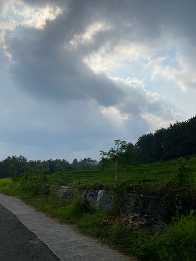 The image displays a rural scene in Kresek, Indonesia. The orientation of the image is rotated 90 degrees clockwise. The foreground shows a paved road with a dark asphalt surface on the right, transitioning to a lighter gray concrete path that borders a lush green hillside. This hillside is covered with dense vegetation, including trees with dark green foliage forming a thick line along the top edge of the incline.

Below the tree line, the landscape appears to be terraced fields, indicated by the horizontal lines of green, suggesting agricultural activity, likely rice paddies. A small tree with sparse green leaves stands out on the hillside, near the center of the image. Interspersed with the vegetation are areas of rough, dark rock and some brown, dried foliage, possibly indicating a natural rock formation or an eroded area.

The upper portion of the image is dominated by the sky, which is a mixture of gray and white clouds. Some areas of bright sunlight are breaking through, suggesting it might be late afternoon or early morning, with intermittent sunshine. The overall mood is peaceful and natural, characteristic of a rural Indonesian landscape. No people or specific objects are clearly identifiable.