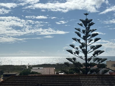 The image shows a view from a rooftop in Vila Nova de Gaia, Portugal, overlooking the ocean. The sky is blue with scattered white clouds. The sea is sparkling with sunlight. In the middle ground, there are sandy dunes with vegetation, a boardwalk, street lights, and rooftops of buildings. In the foreground, there is a tiled roof and a large Norfolk Island pine tree. A ship is visible on the horizon.