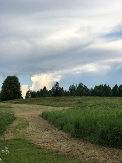 The image depicts a natural scene in Zhukovo, Russia, likely during the late afternoon or early evening due to the soft lighting and dramatic cloud formations. The perspective is landscape-oriented, with a clear division between the sky and the earth.

The sky is dominated by large, billowy clouds, some of which are bright white and illuminated by the sun, while others are a darker, grayer hue, suggesting approaching or receding weather. Sunlight filters through the clouds, creating streaks of light that cut across the sky. The overall mood of the sky is dynamic and somewhat dramatic.

Below the sky is a line of dense trees, forming a dark green border across the middle of the frame. These trees appear to be deciduous and are set against a backdrop of lighter green foliage and vegetation. The ground in the foreground is a mix of textures and colors. A portion of the field appears to have been recently mown, with dried, lighter brown grass. Adjacent to this is a strip of vibrant green grass, dotted with small white wildflowers. A path or track is visible, winding through the grassy area. In the lower portion of the image, a single, large, dark green tree stands out against the lighter background.

There are no people or man-made objects visible, focusing the viewer's attention entirely on the natural landscape. The scene conveys a sense of rural tranquility, with the natural elements of the sky, trees, and fields taking center stage. The weather appears to be partly cloudy, with the possibility of recent rain or an impending change. The location cues are subtle, but the overall atmosphere is consistent with a countryside setting in Russia. No text is visible in the image.