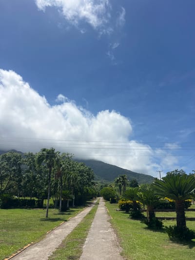 This media file depicts an outdoor scene, likely in Altagracia, Nicaragua, under a bright, partly cloudy sky. The image is oriented vertically. In the foreground, a concrete pathway runs diagonally from the bottom right towards the top left of the frame. To the left of the pathway is a well-maintained lawn with scattered palm trees, some with distinctive fan-shaped leaves. The trees cast shadows on the grass, indicating the sun is shining.
Beyond the lawn and trees, a lush, green mountainside rises, partially shrouded in mist or low-lying clouds, particularly towards its base. The contrast between the bright blue sky, dotted with fluffy white clouds on the left, and the darker, more subdued tones of the mountainside creates a dramatic visual effect. Several power lines stretch across the middle ground, supported by utility poles visible on the right side of the frame, extending towards the mountains.
The scene suggests a tranquil, natural setting, possibly a park, resort, or residential area adjacent to a mountainous region. The time of day appears to be morning or afternoon, given the sunlight and shadows. There is no discernible activity or event taking place; the image captures a static landscape. No text is visible in the media file.