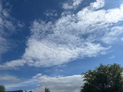 The image depicts a clear blue sky with scattered clouds. In the foreground, a lush green tree with dense foliage occupies the right side of the frame. The bottom portion of the image shows the roof of a building and some smaller trees. The scene is set outdoors, likely in a residential area.