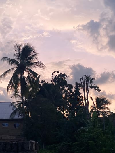Captured from a low-angle, this image depicts a twilight or sunset scene possibly in Achara, Nigeria. The sky is filled with layered clouds, ranging from light pink to dark grey hues, indicating either the end of the day or an approaching storm. Silhouetted against the colorful sky are several trees. The dominant tree is a palm tree in the foreground, its fronds spread out, partially obscuring a building with two visible windows in the lower right. Other trees with dense foliage further back are also silhouetted. A brick wall or structure is present on the extreme right. The lighting suggests the sun is setting or obscured by clouds, creating a backlighting effect. No people are visible in the scene.