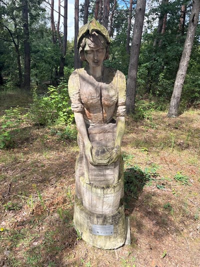 A full-body wooden sculpture of a woman stands in a forest clearing in Sielachowskie, Poland. The sculpture is weathered and appears to be carved from a single log. The woman is depicted wearing a dress and a head covering, and she is holding a bucket in her hands. The sculpture is mounted on a circular wooden base, which in turn is set on a concrete pedestal. A metal plaque is attached to the base of the pedestal. The surrounding environment consists of pine trees, undergrowth, and a ground covered with pine needles and dry leaves. Sunlight filters through the trees, casting shadows on the ground.