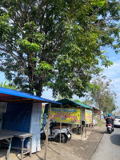 The scene is a street side food stall in Kecamatan Tanggulangin, Indonesia, located at coordinates -7.498 latitude and 112.69 longitude. The stall, named "Warung Barokah," has a yellow sign with the words "Warung Barokah" and "Harga RP. 10.000" visible. The stall is located on the side of the road. A motorcycle is parked in front of the stall. A person is riding a motorcycle on the road. The environment includes a large tree on the left and other trees in the distance. The ground is paved with asphalt.  The sky is clear and blue.