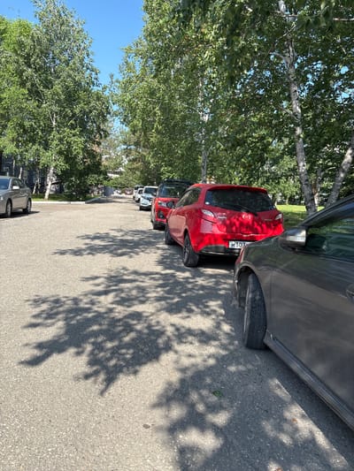 The image shows a row of cars parked along an asphalt road, bordered by trees with green foliage. The sun casts dappled shadows of the trees onto the road and the cars. The sky is visible between the leaves, appearing clear and blue, suggesting a sunny day. The cars are of various colors, including red, gray, and black. The red car in the foreground has a license plate that reads "M 307". The scene appears to be a parking area or a street in a residential or suburban area, possibly in Blagoveshchensk, Russia, given the context. There are no people visible in the image. The overall atmosphere is calm and ordinary, indicative of a typical daytime scene. The image is taken from a slightly elevated, tilted angle.