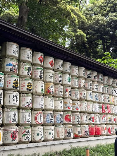 The image displays a tiered arrangement of numerous decorative sake barrels, known as *kazaridaru*, stacked along a dark-colored inclined structure, likely part of a building at a Japanese shrine or temple. Each barrel is wrapped in straw matting and features unique calligraphic inscriptions and colorful illustrations, primarily in red, black, and blue on a white background. Many barrels display company names, sake brand names, and traditional Japanese motifs.
On the left side of the frame, lush green trees with dense foliage are visible, indicating an outdoor setting and suggesting a natural, perhaps park-like, environment surrounding the structure. The sunlight illuminates the leaves, suggesting it is daytime with bright conditions. A patch of green grass is visible on the far right, bordering the bottom of the stacked barrels. No people or specific activities are depicted, but the arrangement of barrels suggests a traditional offering, commonly found at significant cultural sites in Japan, consistent with the Shibuya, Japan location context.
Visible text on the barrels includes various Japanese characters, often indicating sake brand names or descriptive terms. Examples include "長生自得" (Chousei Jitoku), "菊正宗" (Kikumasamune), "登録" (Touroku - registered trademark), "純米" (Junmai - pure rice sake), "江戸生一本" (Edo Nama-ippon), "大雪の蔵" (Taisetsu no Kura), "芳醇" (Houjun - mellow/rich flavor), "千年寿" (Sennenju), "福寿" (Fukuju), "車坂" (Kurumazaka), "白笹" (Shirosasa), "歓喜光" (Kankikou), "黄金井" (Ougonii), and "ZAKU". These inscriptions highlight the various breweries and types of sake represented.