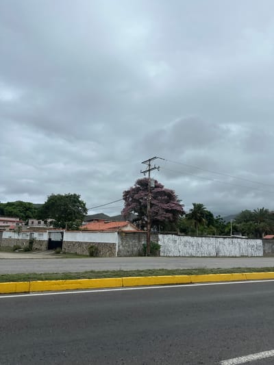 The image captures a roadside view in Atamo Norte, Venezuela, under an overcast sky. A paved road with a bright yellow curb and white line marking is in the foreground. Beyond the road, a property is visible, bordered by a textured stone and white painted wall. A black metal gate is set into the wall, leading to a driveway. Several buildings with red tile roofs are situated behind the wall, with some appearing to be houses or residences. A prominent feature is a large tree with a dense canopy of pink flowers, situated to the right of the gate and near a utility pole with electrical wires. Lush green trees and palm trees are scattered throughout the scene, and distant hills are visible under the cloudy sky. The overall impression is one of a residential area adjacent to a road, with natural elements intermingling with man-made structures.
