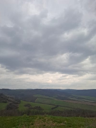 The scene presents a panoramic view of a rural landscape under an overcast sky, located in the vicinity of the city of Balkantsi, Bulgaria. The upper two-thirds of the image are dominated by a dense, uniform layer of grey clouds, indicating an overcast condition. Six thin, dark, parallel lines, consistent with electrical power or communication wires, traverse horizontally across the upper mid-ground from left to right. The foreground consists of green grass interspersed with sparse brown foliage, suggesting an elevated viewpoint. Below the wires and extending into the background, the terrain features rolling hills and valleys covered by a mosaic of dark green deciduous forests and distinctly shaped agricultural fields. These fields display varying shades of green, with some appearing brighter and others darker or brownish, indicating different stages of cultivation or vegetation types. Distant hills define the horizon line. No individuals, animals, or specific structures are visible within the depicted landscape.