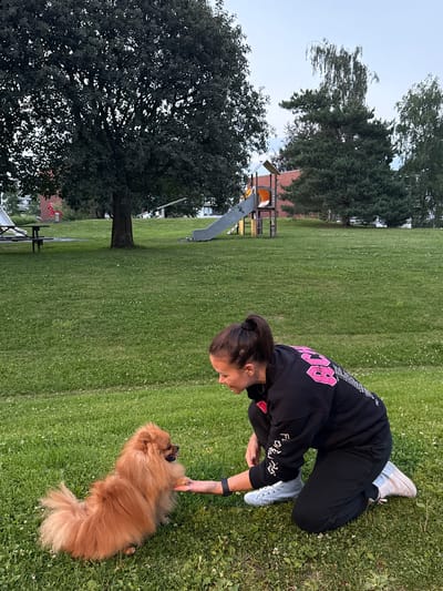 This media file features a young woman interacting with a fluffy, golden-brown dog on a grassy field. The woman is wearing a black hoodie with pink lettering and black pants. Her hair is pulled back in a bun. She is in a crouching position, reaching out towards the dog, and appears to be playing with it. The dog is lying on its back, with its paws in the air, seemingly enjoying the interaction. The scene is set in a park-like area with lush green grass dotted with small white flowers. In the background, there are trees, a playground structure with a slide, and some buildings. The lighting suggests it is either early morning or late evening, possibly dusk. The overall mood appears to be relaxed and playful. Visible text on the woman's hoodie includes "FLOWER" and what appears to be "VIBES" in stylized lettering, along with other words that are partially obscured. The presence of the playground and the general environment suggest a casual outdoor setting, consistent with a park in Oslo, Norway.