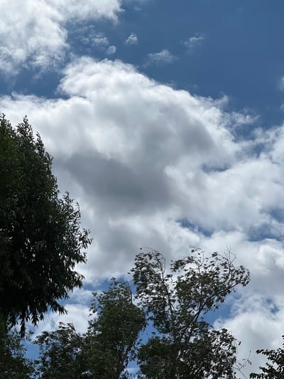 The image shows a sky filled with clouds and trees in the foreground. The sky is blue with large, white, puffy clouds. Some of the clouds are darker, indicating they may be heavier. The trees are green and leafy, with some branches extending into the sky. The image appears to be taken outdoors, likely in a park or residential area. The location is identified as Lanžhot, Czechia. There are no people or animals visible in the image. The image depicts a natural scene with vegetation and sky.