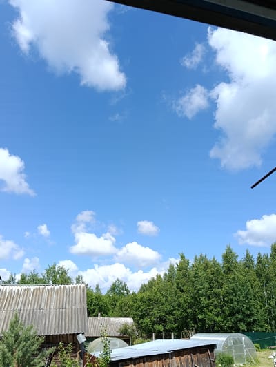 The image depicts a rural or semi-rural scene in Красный Маяк, Russia, viewed from a slightly elevated position, possibly through a window or from a building's upper level, evidenced by a dark horizontal frame component at the top and a diagonal dark bar on the upper right. The sky, occupying the upper two-thirds of the frame, is clear blue with scattered white cumulus clouds of various sizes.
In the lower third of the image, the foreground features a large building with a weathered, light grey, corrugated asbestos cement (slate) roof, exhibiting a wavy profile, on the left. Portions of wooden siding are visible beneath its eaves. A coniferous bush or small tree is positioned in front of this structure. To the right and slightly behind, another building with a similar corrugated roof is partially visible. Further to the right, a clear, arched polytunnel greenhouse with a visible internal frame is situated on a patch of green grass with small white flowers. Adjacent to the greenhouse, a smaller structure with a flat, light-colored corrugated metal roof is present.
A dense line of tall deciduous trees with vibrant green foliage, likely birch, forms a natural boundary or forest edge extending across the midground from left to right. No individuals, explicit actions, or interactions are discernible within the frame. The overall environment suggests a summer or late spring day in a countryside or village setting.