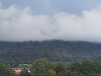 The image shows a landscape scene of a forested mountain range partially obscured by clouds. In the foreground, several trees are visible, with some structures of buildings, including roofs, peeking through the foliage. The overall atmosphere is overcast. This scene is located in the vicinity of Markhua, Russia.
