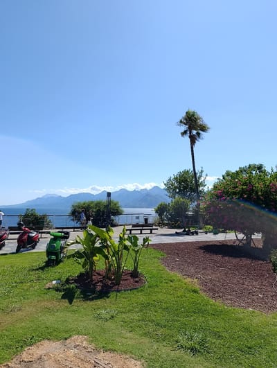 This is a landscape photograph taken from a park area overlooking a body of water and mountains in Antalya, Turkey. In the foreground, there is lush green grass and a patch of reddish-brown mulch. Several motor scooters, one red and one green, are parked on the grass. Behind the scooters, there are large tropical plants. A paved walkway is visible in the middle ground, with benches and several yellow electric scooters. Two individuals are seen walking on the paved area. A tall palm tree stands to the right of the walkway, and a large tree with pink flowers is in the far right of the frame. The middle ground features a railing separating the park from the blue water, beyond which are distant, hazy mountains under a clear blue sky. The overall scene depicts a sunny day in an outdoor recreational area.