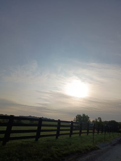 This landscape image depicts a rural scene at sunrise or sunset, with the sun's bright orb prominently featured in the upper right quadrant of the frame, partially obscured by wispy clouds. A dark wooden fence runs diagonally across the lower half of the image, separating a grassy field from a gravel path on the right. Trees are visible along the fence line, suggesting a wooded area beyond. The sky is a gradient of pale blue and warm yellow, indicating the low angle of the sun. The overall mood is peaceful and serene, characteristic of the golden hour. No people or text are visible in the image. The location context provided is Paris, United States, which aligns with the rural aesthetic.