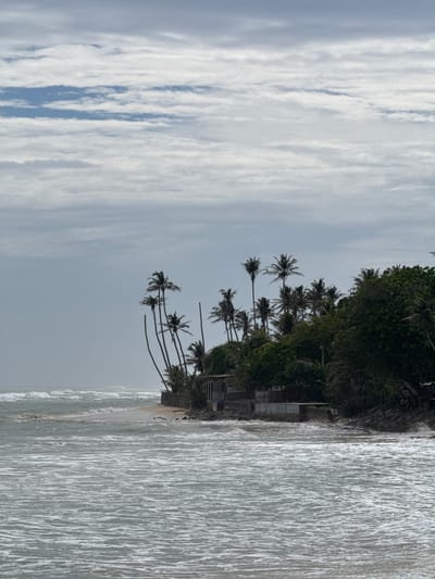 The image depicts a coastal scene in Ahangama, Sri Lanka. The foreground is dominated by the ocean, with white-capped waves rolling towards a sandy shore. In the middle ground, a narrow strip of beach is visible, backed by a dense line of lush green vegetation and numerous tall palm trees. Several structures, appearing to be small buildings or shelters, are nestled amongst the trees along the coastline. The background features a cloudy sky with streaks of blue peeking through. The overall impression is of a tropical, slightly overcast day at the beach.