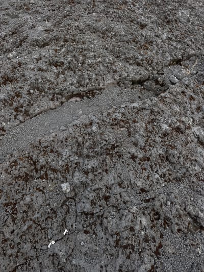 The image shows a close-up, overhead view of a rocky, uneven surface, likely volcanic rock. The ground is predominantly dark gray with patches of lighter gray and reddish-brown discoloration, possibly indicating moss or lichen growth. The texture is rough and porous, with many small pebbles and larger, irregular-shaped rocks embedded in the surface. A distinct crack or fissure runs diagonally across the image from the upper right to the lower left. In the bottom center of the image, two small, rectangular white objects are visible, possibly markers or evidence tags. The overall environment appears barren and possibly remote. This scene could be found in the Kintamani region of Bali, Indonesia, which is known for its volcanic landscapes, including Mount Batur.